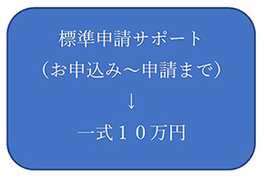 “NETIS division” of your company