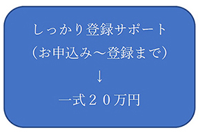 “NETIS division” of your company